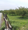 thumb_2319_immagine039.jpg